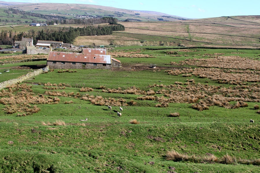 Paradesquare Parade square