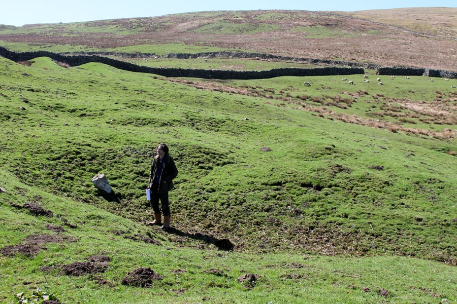 bathhouse Evidence of a Roman Bath House