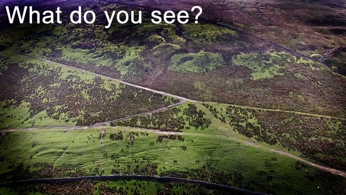 What do you see? What do you see?